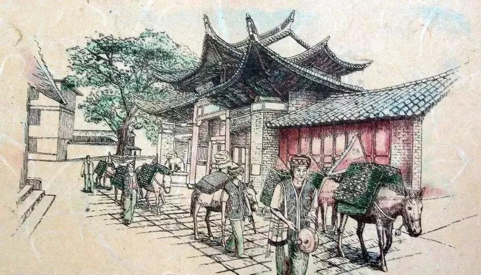 茶马古道-鹦哥嘴