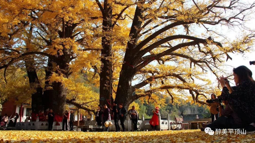 文殊寺
