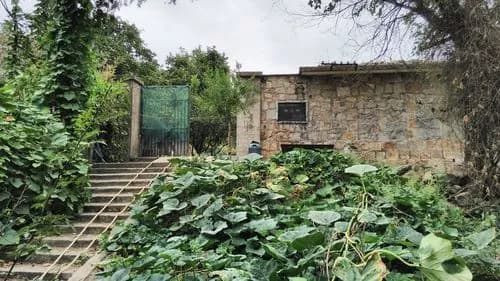 栖岩寺石屋