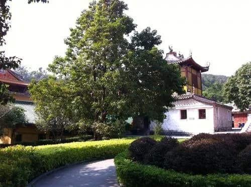 梵天寺钟楼