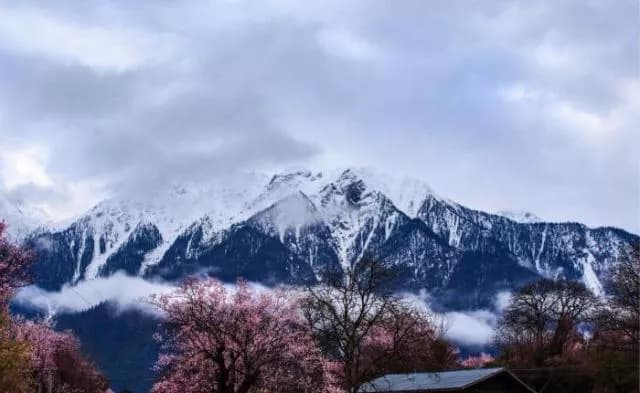桃花沟景区