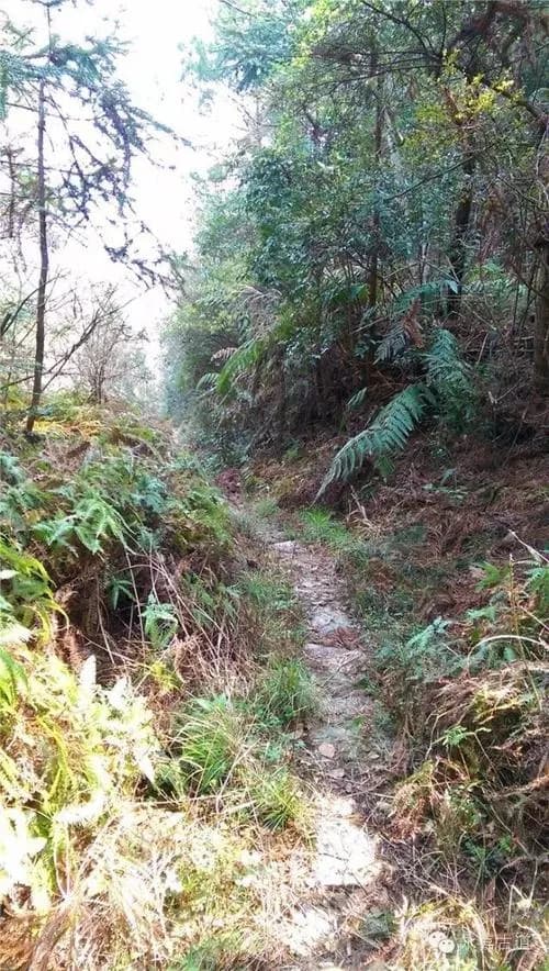 三条岭古道