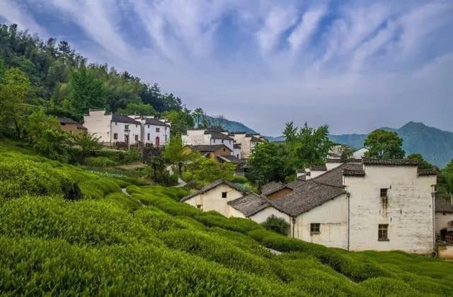 金龙山景区