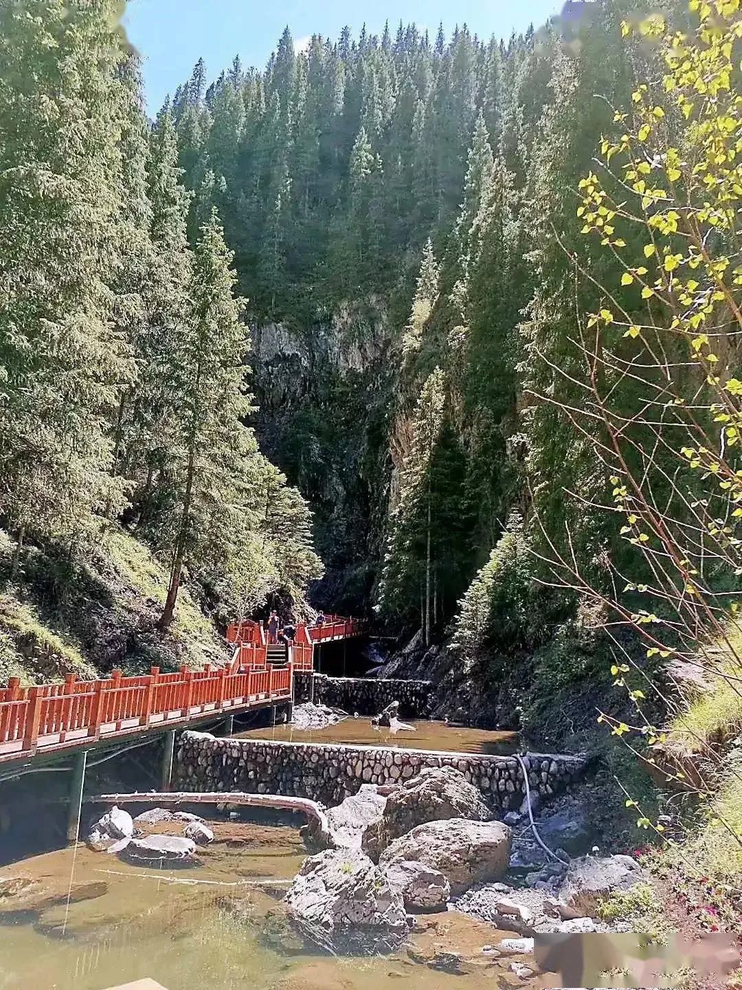 庙尔沟