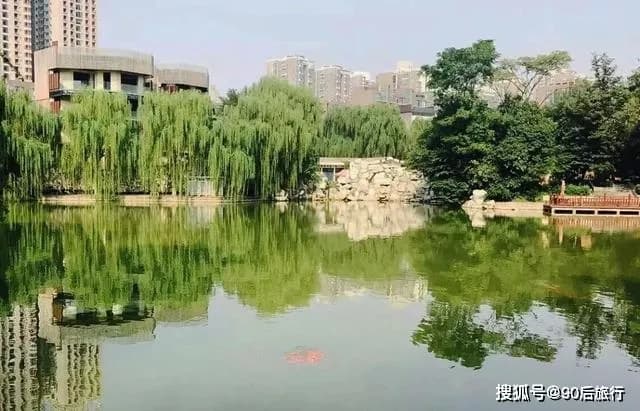 天池和森林