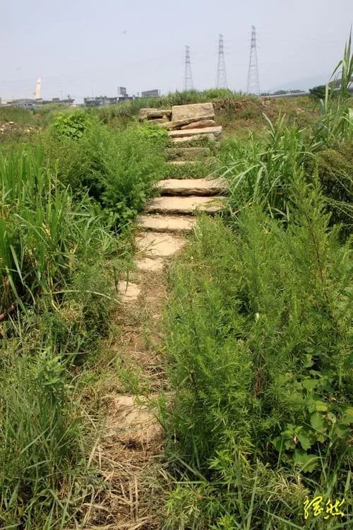 连坂桥