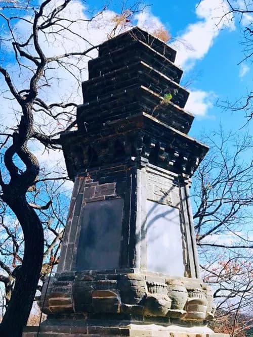 赵家塔