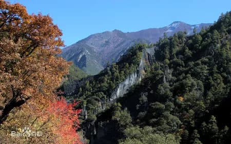 庆大沟森林公园