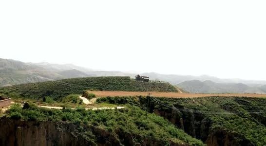 子长高柏山