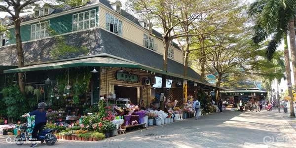 深圳荷兰花卉小镇