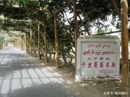 沙漠公路