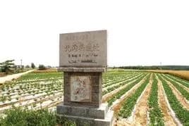 葫芦头沟遗址