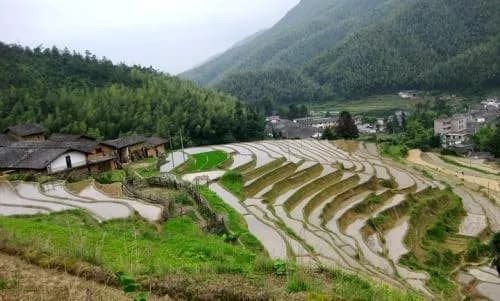 百顺溪头梯田