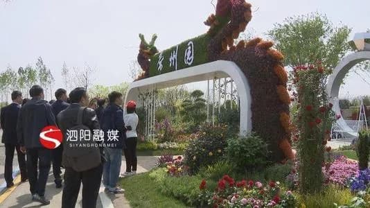泗阳月季园
