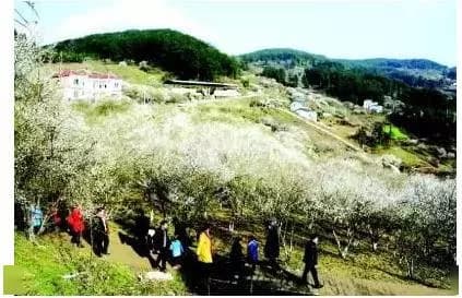 梅山