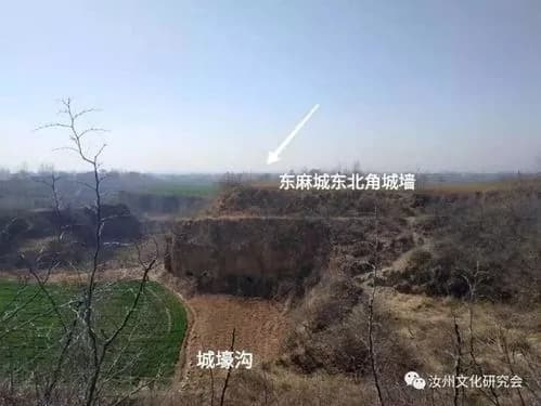东李沟遗址