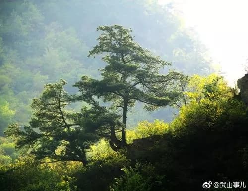 武山老君山森林公园