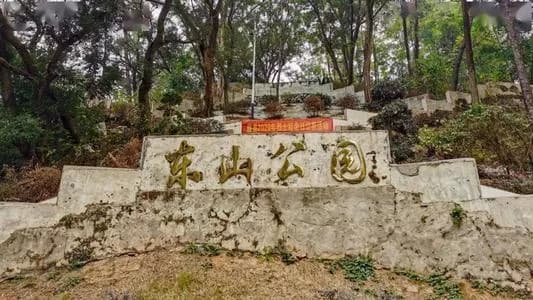 藤县东山