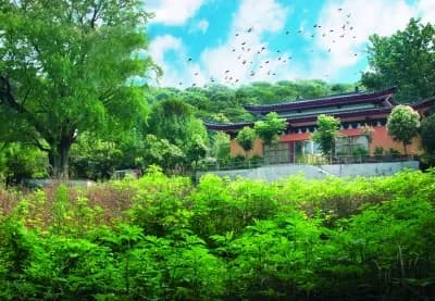 尊胜禅院