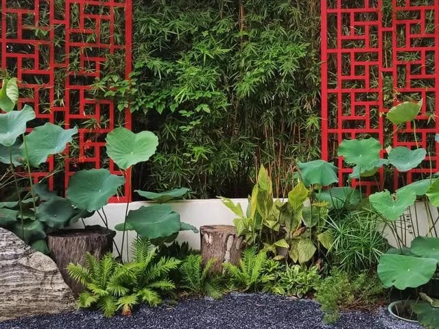洪湖公园
