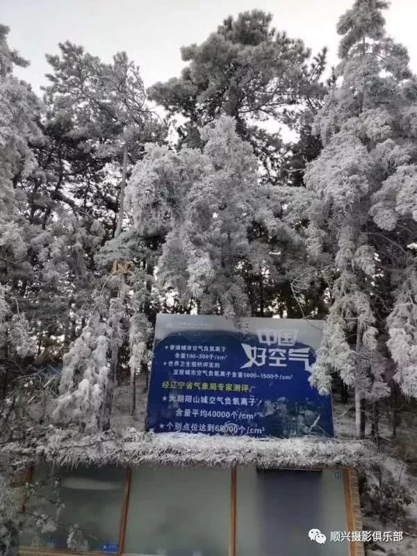 朝阳自然保护区