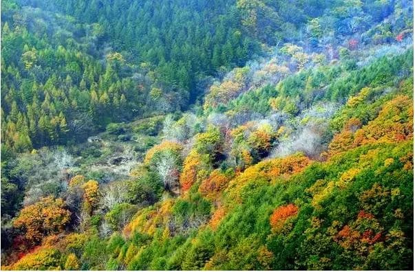 女山