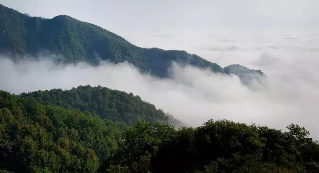 山水田园