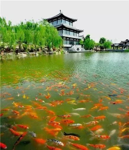 秀水景区