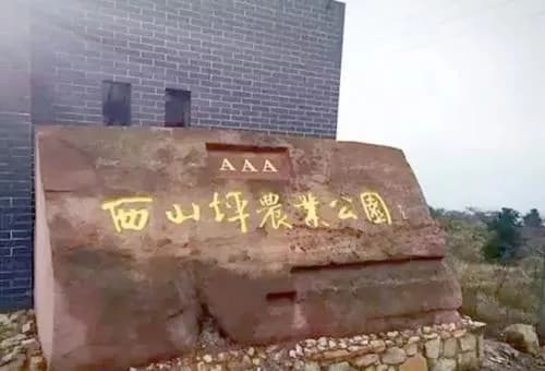 西山坪遗址