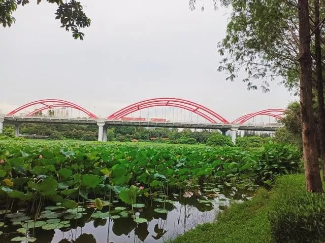 洪湖公园