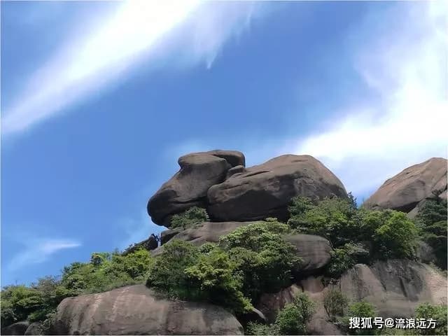 睡美人