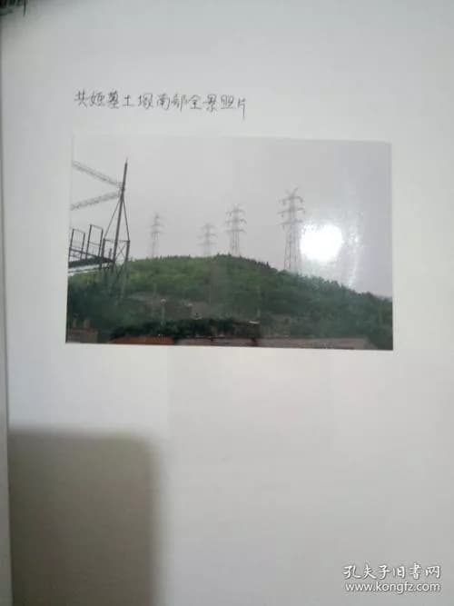 汉阙遗址及水牛墓