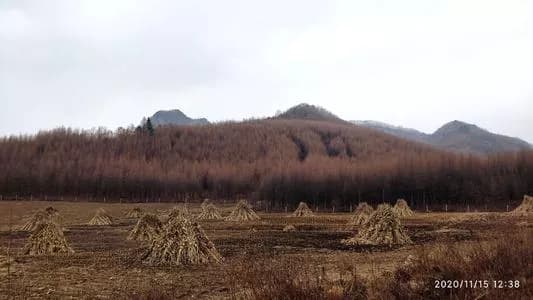 黑沟山城
