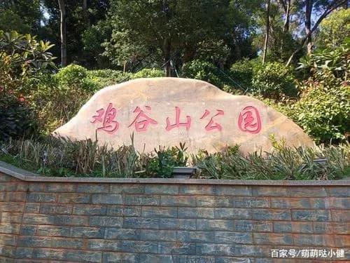 鸡谷山