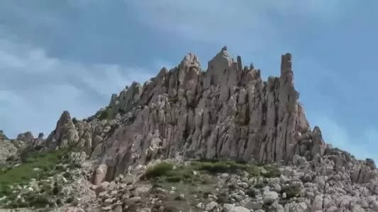 汉白玉石林