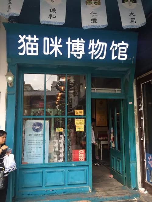 猫咪博物馆