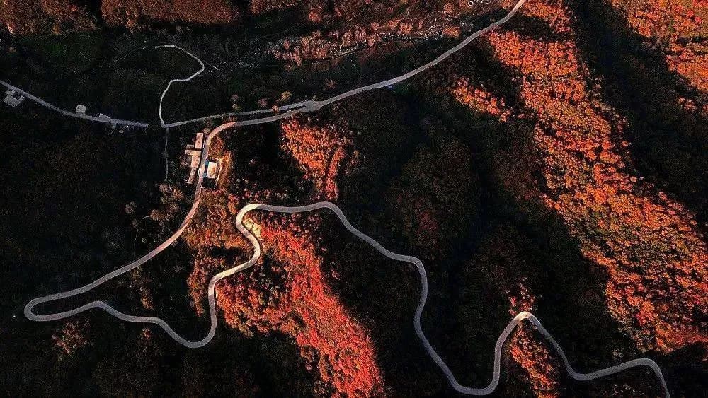山水田园