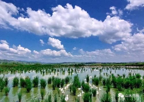 梧州苍海国家湿地公园