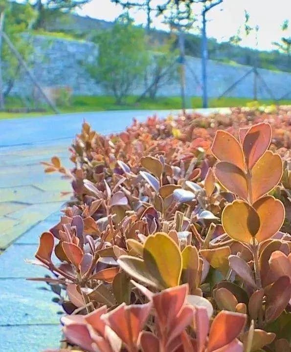 秀水景区