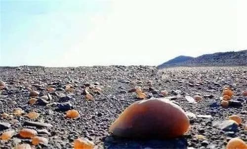 玛瑙滩