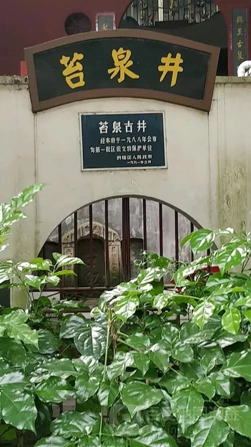 苔泉井