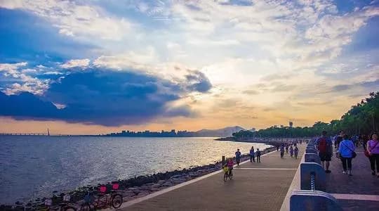 深圳湾公园