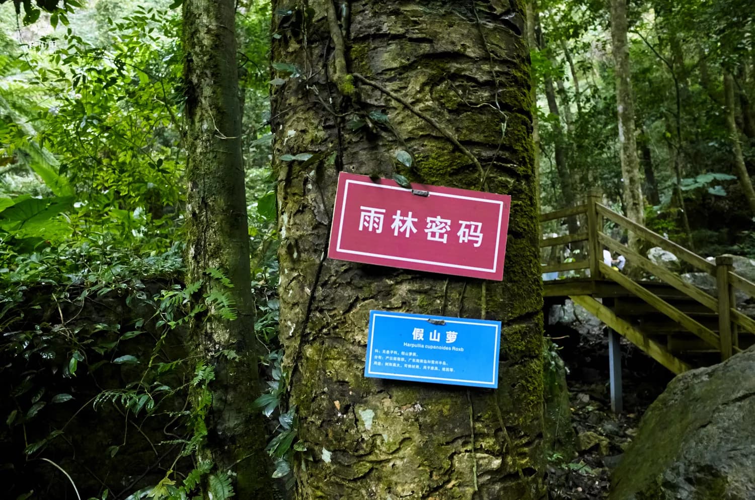 老龙潭、斩蛇崖、五指山景区