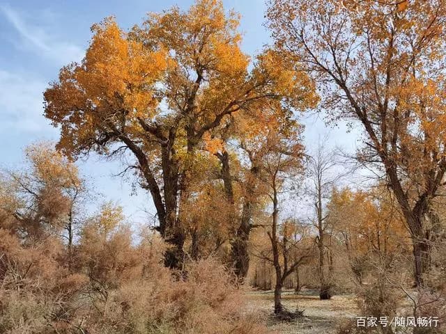 沙漠公路