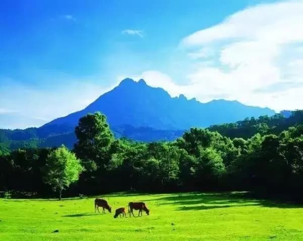 老龙潭、斩蛇崖、五指山景区