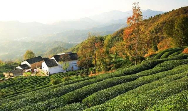 金龙山景区