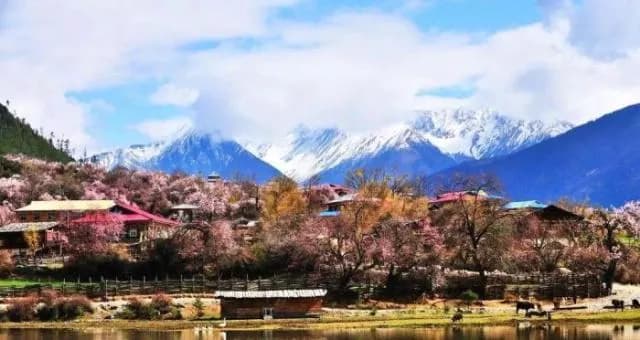 桃花沟景区