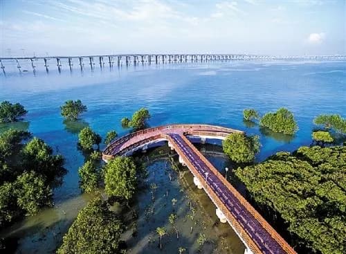深圳红树林海滨生态公园