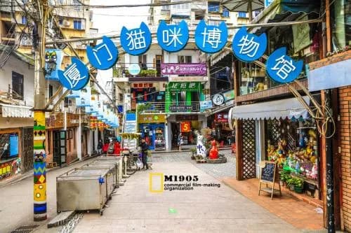 顶澳仔猫街