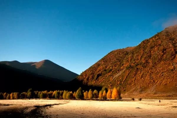 新都桥景区